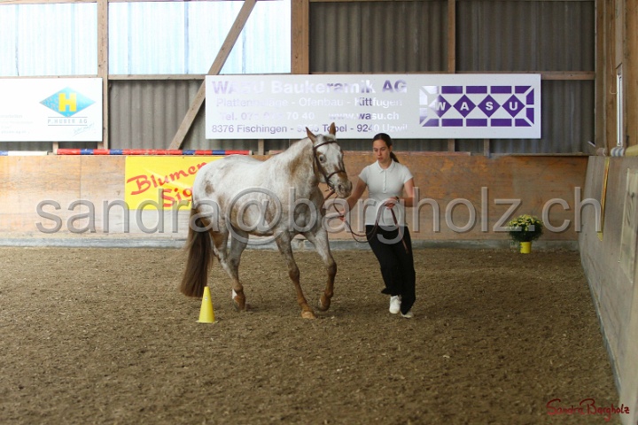 24-ApHC HIH_022.jpg